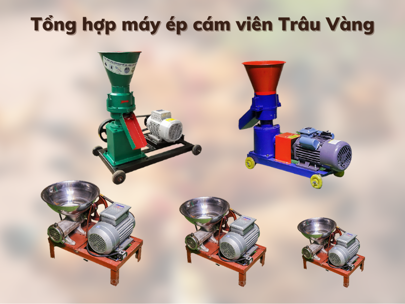 tổng hợp máy éo cám viên